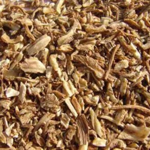 Angelica sinensis root | Tang Kuei or Dang Gui